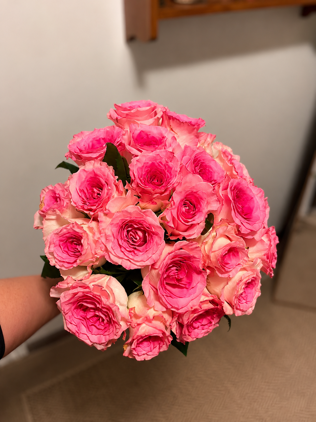 24 rosas